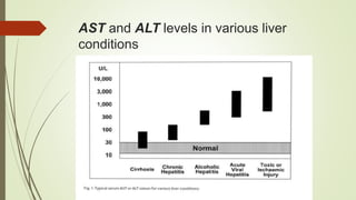 Liver function tests | PPTX