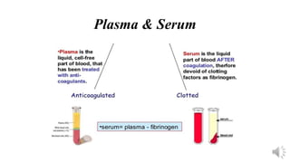 Plasma & Serum
 