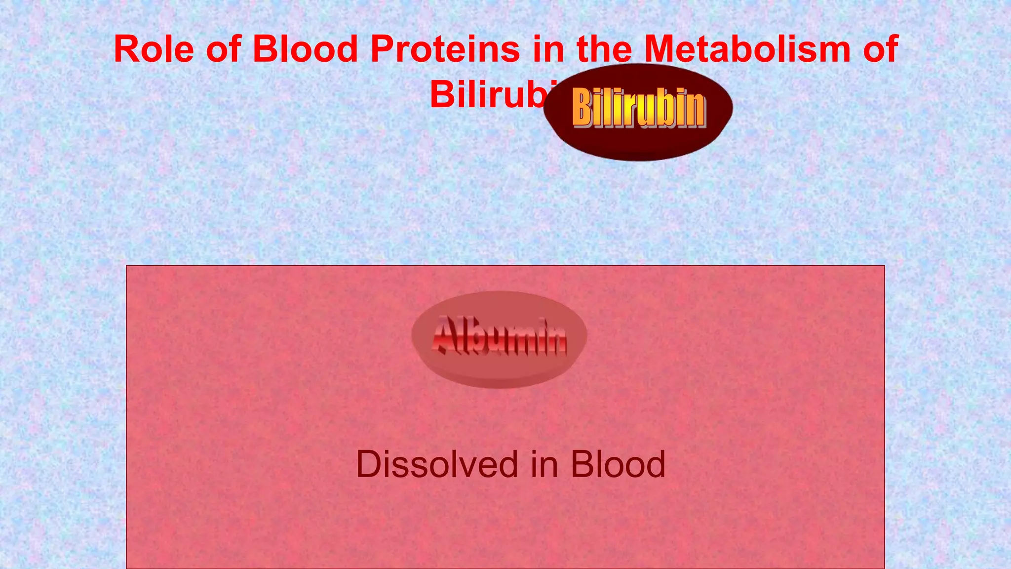 Role of Blood Proteins in the Metabolism of
Bilirubin
1. Albumin
Dissolved in Blood
 