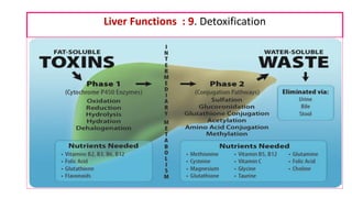 Liver Functions : 9. Detoxification
 