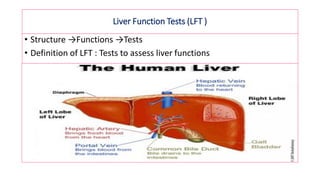 Liver Function Tests (LFT )
• Structure →Functions →Tests
• Definition of LFT : Tests to assess liver functions
 