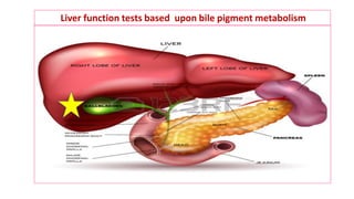 Liver function tests based upon bile pigment metabolism
 