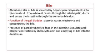 Bile
• About one litre of bile is secreted by hepatic parenchymal cells into
bile canaliculi from where it passes through the intrahepatic ducts
and enters the intestine through the common bile duct.
• Function of the gall bladder : absorbs water ,electrolyte and
concentrates the bile.
• Presence of partially digested food in the intestine stimulates gall
bladder contraction by cholecystokinin and emptying of bile into the
duodenum
 