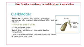 Liver function tests based upon bile pigment metabolism
 