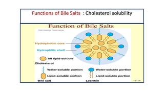 Functions of Bile Salts : Cholesterol solubility
 
