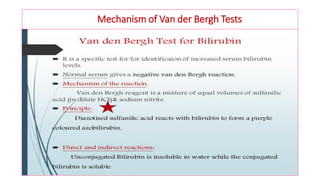 Mechanism of Van der Bergh Tests
 