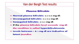 Van der Bergh Test results
 