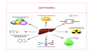 Liver Functions
 