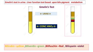 ← CONC HNO₃→
Gmelin’s Test
← URINE→
Bilirubin –yellow ,Biliverdin –green ,Bilifuschin –Red , Bilicyanin -violet
Gmelin’s test in urine : Liver function test based upon bile pigment metabolism
 