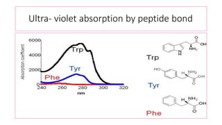 Ultra- violet absorption by peptide bond
 