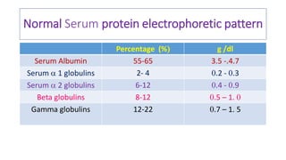 Normal Serum protein electrophoretic pattern
Percentage (% g /dl
Serum Albumin 55-65 3.5 -.4.7
Serum  1 globulins 2- 4 .2 - .3
Serum  2 globulins 6-12 .4 - .9
Beta globulins 8-12 .5 – 1. 
Gamma globulins 12-22 .7 – 1. 5
 