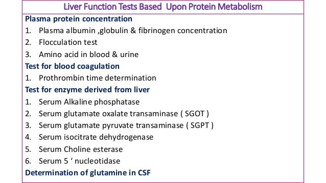 test nucleotidase 5 blood and Liver tests applications their clinical function
