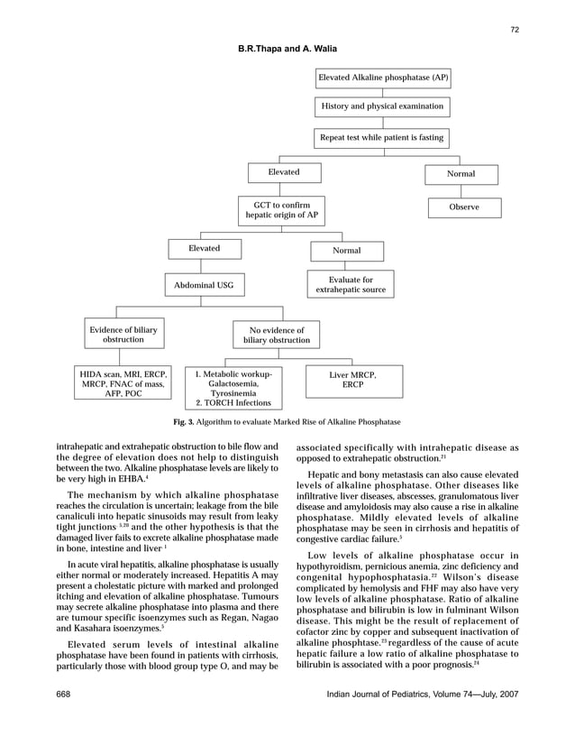 Liver Function Tests Flow Chart.pdf Liver Function Tests and their Interpretation.pdf