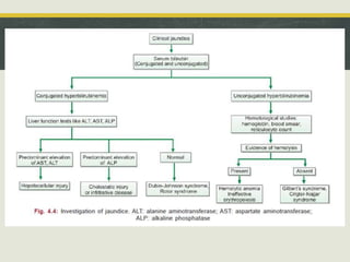 Liver function tests final | PPTX