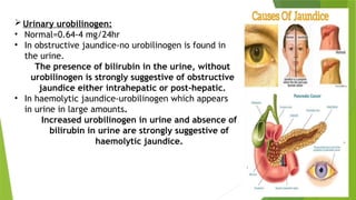 Urinary urobilinogen:
• Normal=0.64-4 mg/24hr
• In obstructive jaundice-no urobilinogen is found in
the urine.
The presence of bilirubin in the urine, without
urobilinogen is strongly suggestive of obstructive
jaundice either intrahepatic or post-hepatic.
• In haemolytic jaundice-urobilinogen which appears
in urine in large amounts.
Increased urobilinogen in urine and absence of
bilirubin in urine are strongly suggestive of
haemolytic jaundice.
 
