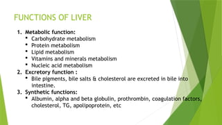 FUNCTIONS OF LIVER
1. Metabolic function:
 Carbohydrate metabolism
 Protein metabolism
 Lipid metabolism
 Vitamins and minerals metabolism
 Nucleic acid metabolism
2. Excretory function :
 Bile pigments, bile salts & cholesterol are excreted in bile into
intestine.
3. Synthetic functions:
 Albumin, alpha and beta globulin, prothrombin, coagulation factors,
cholesterol, TG, apolipoprotein, etc
 