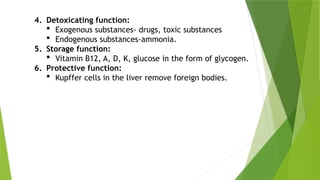4. Detoxicating function:
 Exogenous substances- drugs, toxic substances
 Endogenous substances-ammonia.
5. Storage function:
 Vitamin B12, A, D, K, glucose in the form of glycogen.
6. Protective function:
 Kupffer cells in the liver remove foreign bodies.
 