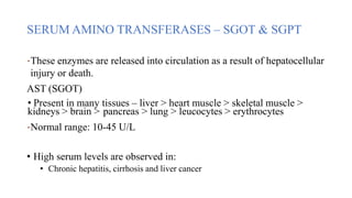 Liver Function Tests Purvika.pptxnnnnnnn | PPT
