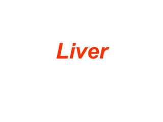 Liver 