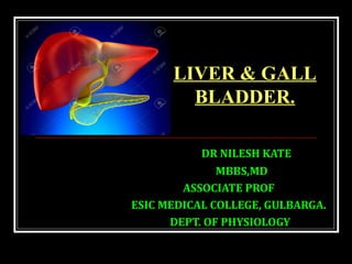 DR NILESH KATE
MBBS,MD
ASSOCIATE PROF
ESIC MEDICAL COLLEGE, GULBARGA.
DEPT. OF PHYSIOLOGY
LIVER & GALL
BLADDER.
 