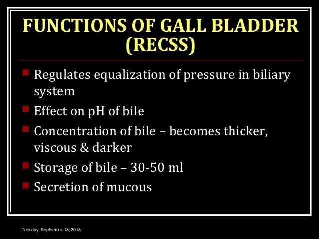 Liver Gall Bladder