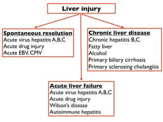 Liver health: prevention and treatment | PDF
