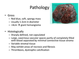 Pathology
• Gross
– Red blue, soft, spongy mass
– Usually 1-2cm in diameter
– >4cm  giant hemangioma
• Histologically
– Sharply defined, not capsulated
– Large, cavernous vascular spaces partly of completely filled
with blood separated by minimal connective tissue stroma
– Variable stromal tissue
– May exhibit areas of necrosis and fibrosis
– Thrombosis, dystrophic calcification
 
