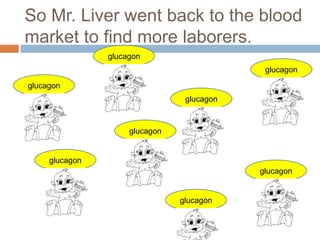 So Mr. Liver went back to the blood market to find more laborers. glucagonglucagonglucagonglucagonglucagonglucagonglucagonglucagon