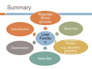 Protein synthesis