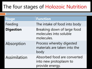 DetoxificationDeamination