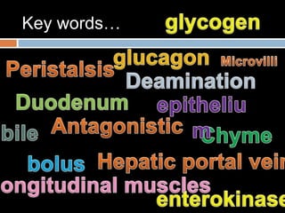 DeaminationUreaglucose