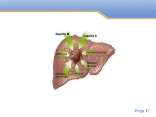 Powerpoint Templates
Page 17
 