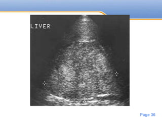 Powerpoint Templates
Page 36
 