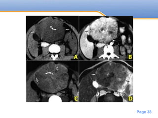 Powerpoint Templates
Page 38
 