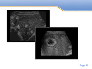 Powerpoint Templates
Page 46
 