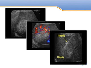 Powerpoint Templates
Page 47
 