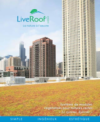 MARQUE
         La nature à l’oeuvre




                                   Système de modules
                         végétalisés pour toitures vertes
                                    « Le système hybride »

SIMPLE              INGÉNIEUX             ESTHÉTIQUE
 