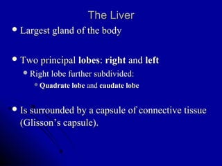 Glisson Liver pancreas | PPT