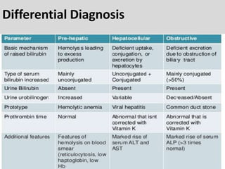 Differential Diagnosis
 