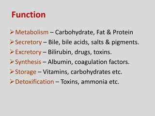 Function
Metabolism – Carbohydrate, Fat & Protein
Secretory – Bile, bile acids, salts & pigments.
Excretory – Bilirubin, drugs, toxins.
Synthesis – Albumin, coagulation factors.
Storage – Vitamins, carbohydrates etc.
Detoxification – Toxins, ammonia etc.
 