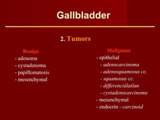 Gallbladder
2. Tumors
Benign
- adenoma
- cystadenoma
- papillomatosis
- mesenchymal
Malignant
- epithelial
- adenocarcinoma
- adenosquamosus cc.
- squamosus cc.
- differenciálatlan
- cystadenocarcinoma
- mesenchymal
- endocrin - carcinoid
 