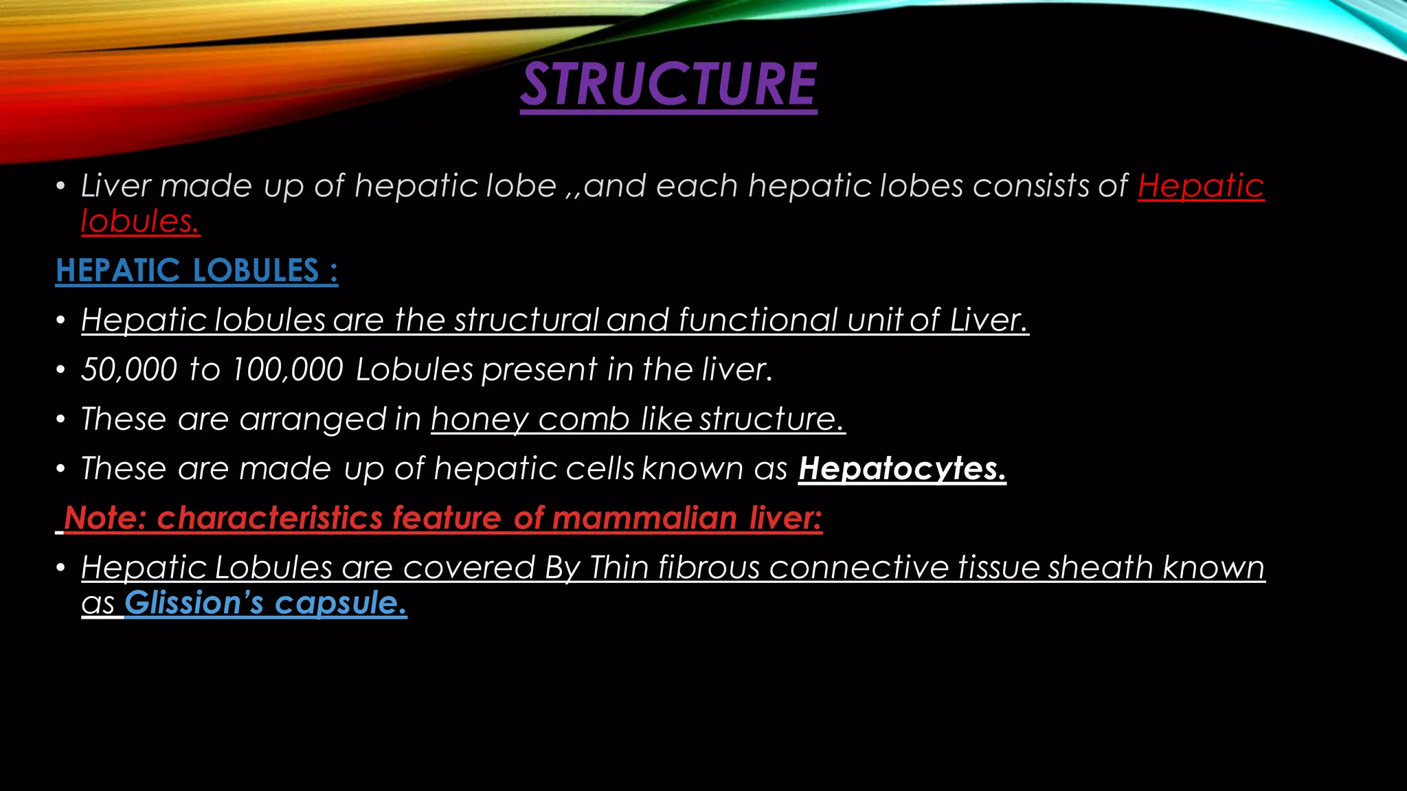 Liver ppt | PDF