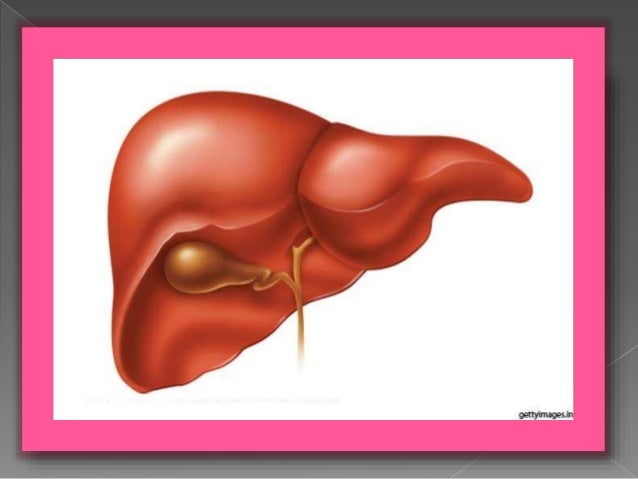 Liver Ppt Binduja
