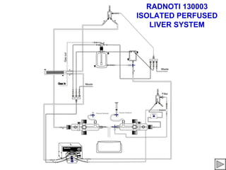 RADNOTI 130003
ISOLATED PERFUSED
   LIVER SYSTEM
 
