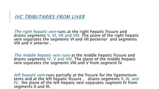 IVC TRIBUTARIES FROM LIVER
The right hepatic vein runs at the right hepatic fissure and
drains segments V, VI, VII and VIII. The plane of the right hepatic
vein separates the segments VI and VII posterior and segments
VIII and V anterior .
The middle hepatic vein runs at the middle hepatic fissure and
drains segments IV, V and VIII. The plane of the middle hepatic
vein separates the segments VIII and V from segment IV
left hepatic vein runs partially at the fissure for the ligamentum
teres and at the left hepatic fissure , drains segments II, III, and
IV. the plane of the left hepatic vein separates segment IV from
segments II and III.
 