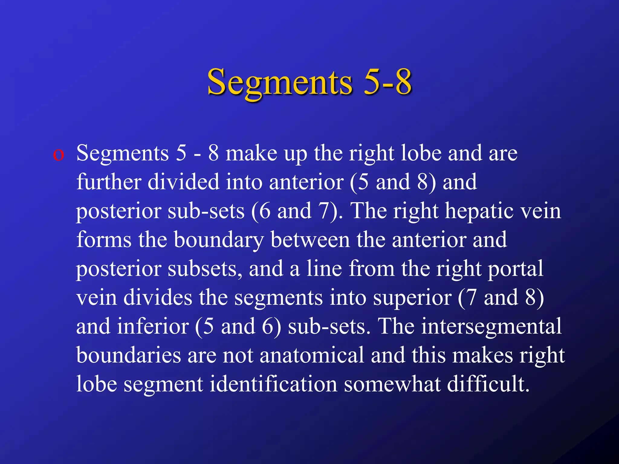 Segment Inferior Liver segments on ultrasound | PPTX