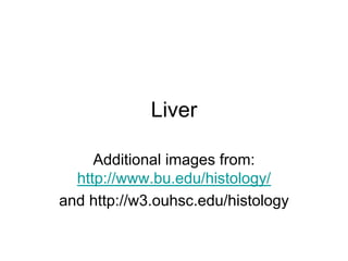 Liver
Additional images from:
http://www.bu.edu/histology/
and http://w3.ouhsc.edu/histology
 