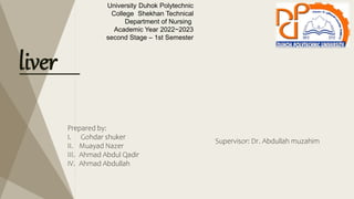 liver
Duhok Polytechnic
University
Shekhan Technical
College
Department of Nursing
Academic Year 2022~2023
second Stage – 1st Semester
Prepared by:
I. Gohdar shuker
II. Muayad Nazer
III. Ahmad Abdul Qadir
IV. Ahmad Abdullah
Supervisor: Dr. Abdullah muzahim
 