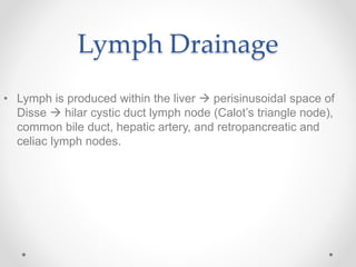 Lymph Drainage
• Lymph is produced within the liver  perisinusoidal space of
Disse  hilar cystic duct lymph node (Calot’s triangle node),
common bile duct, hepatic artery, and retropancreatic and
celiac lymph nodes.
 