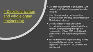 4.Decellularization
and whole organ
engineering
• Used for development of perfusable ECM
derived scaffolds with preserved vascular
integrity.
• Liver bioengineering can be used for
transplantation and drug toxicity testing in
3D in invitro cultures.
• Decellularization–recellularization
technologies provide a valuable platform
for liver bioengineering through the
repopulation of liver ECM scaffolds with
parenchymal and nonparenchymal liver
cells.
• Tissues from other organisms may lead to
incompatibility and hence human
organisms’ tissues must be collected and
engineered.
 